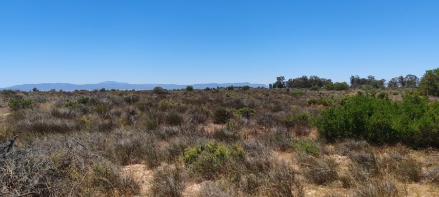 3 Bedroom Property for Sale in Hopefield Rural Western Cape